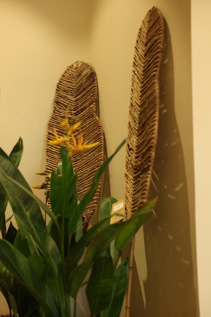 Natural Fibre Giant Banana Leaf