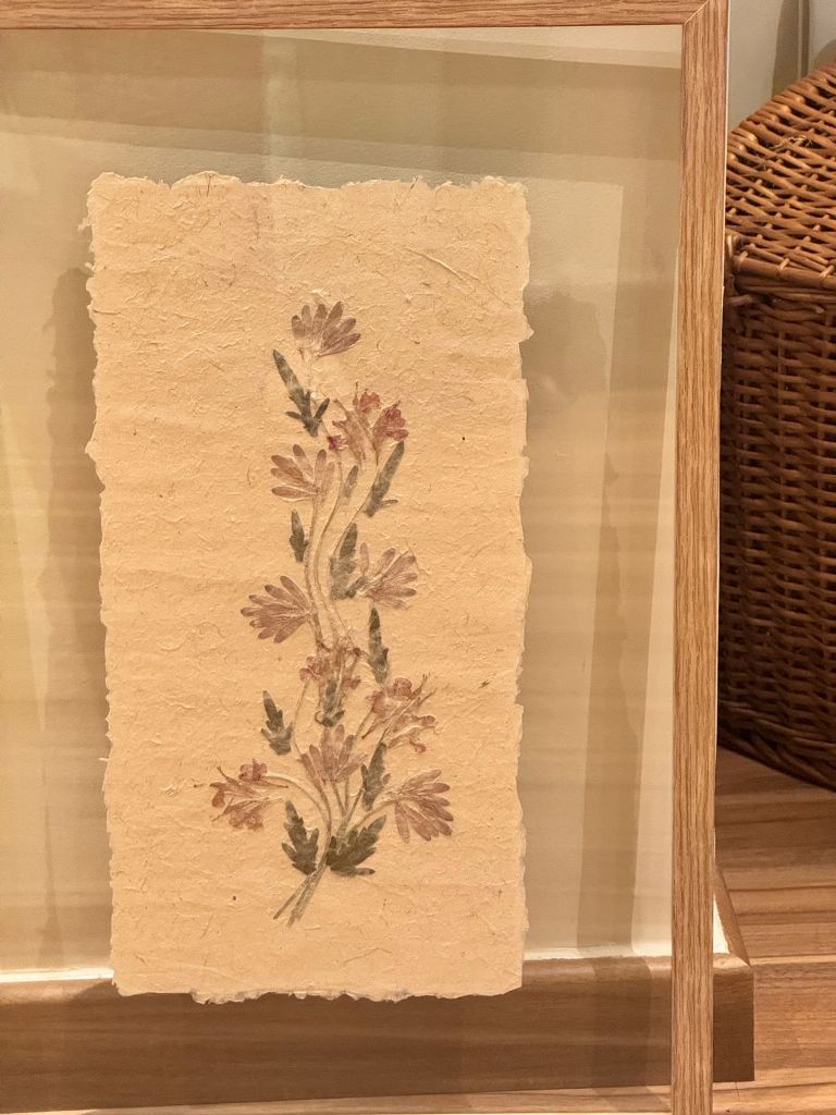 Wildflowers hand pressed on raw paper