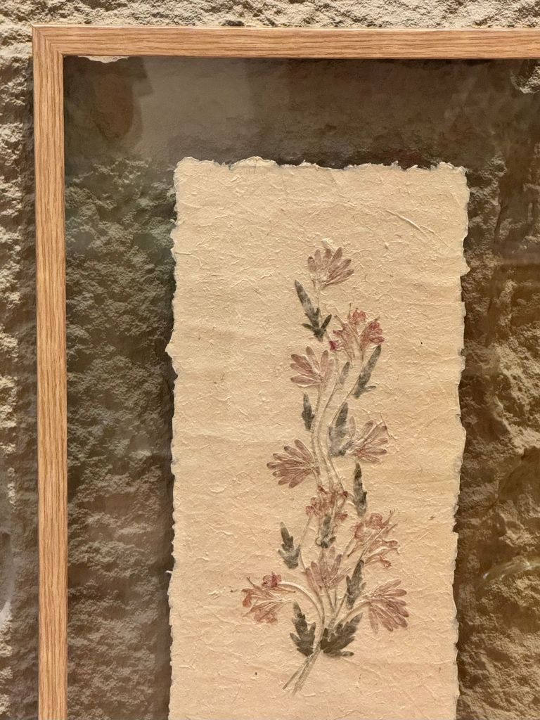 Wildflowers hand pressed on raw paper