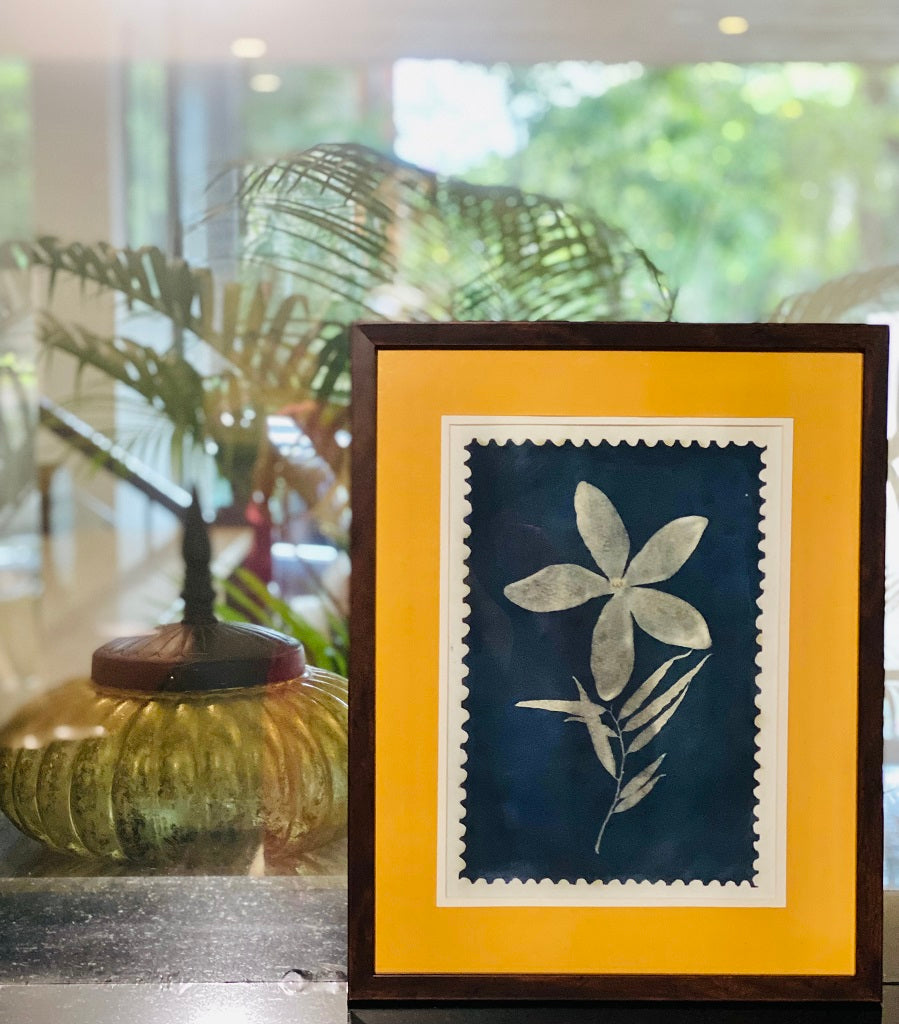 Botanical Cyanograph