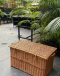 Willow wicker trunk