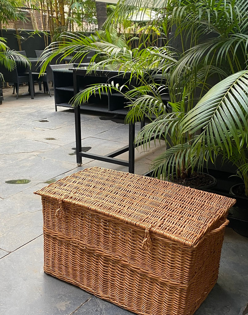 Willow wicker trunk