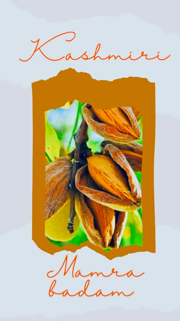 Fresh Harvest Kashmiri Mamra Badam